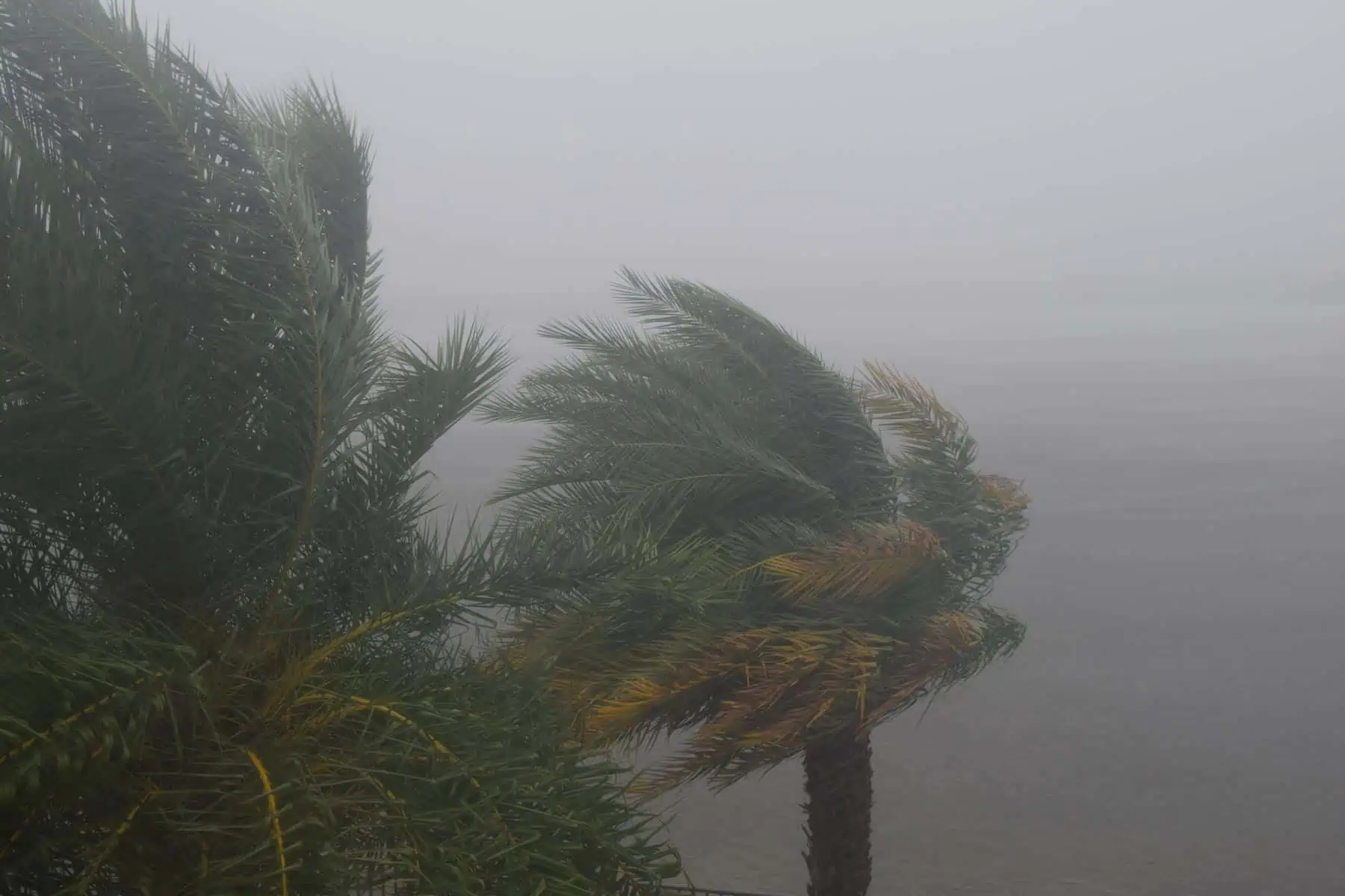 Autoridades en Florida Alertas Tras Paso de Tornados por el Estado