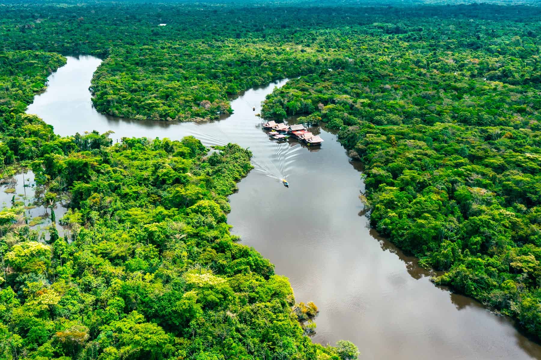 Presidente de Estados Unidos Ofrece Suma Millonaria al Fondo de la Amazonia