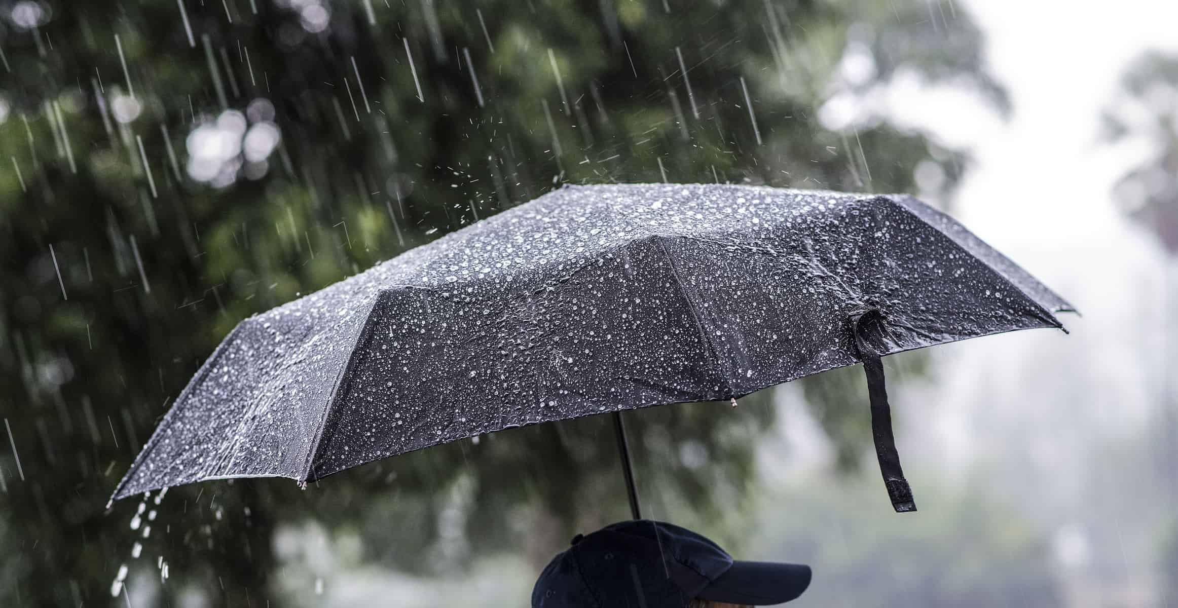 registran cifras historicas de lluvias en el sur de la florida