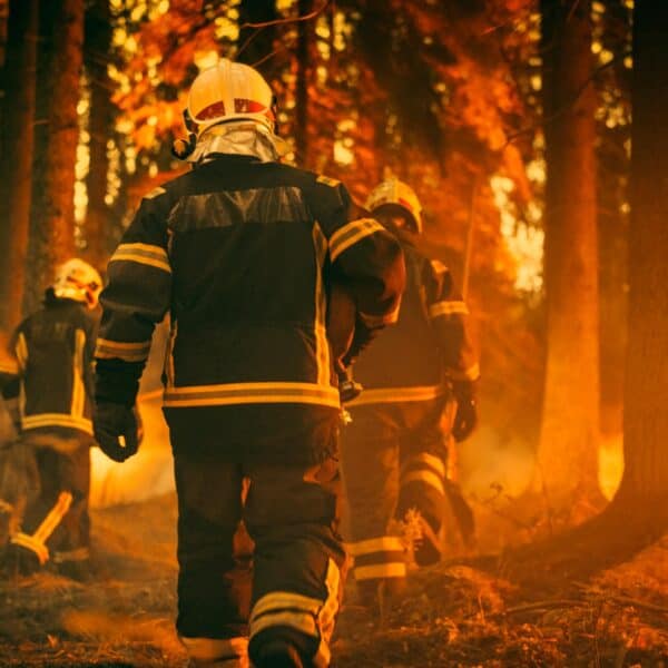 Advierten Posibles Consecuencias de Incendios Forestales en California