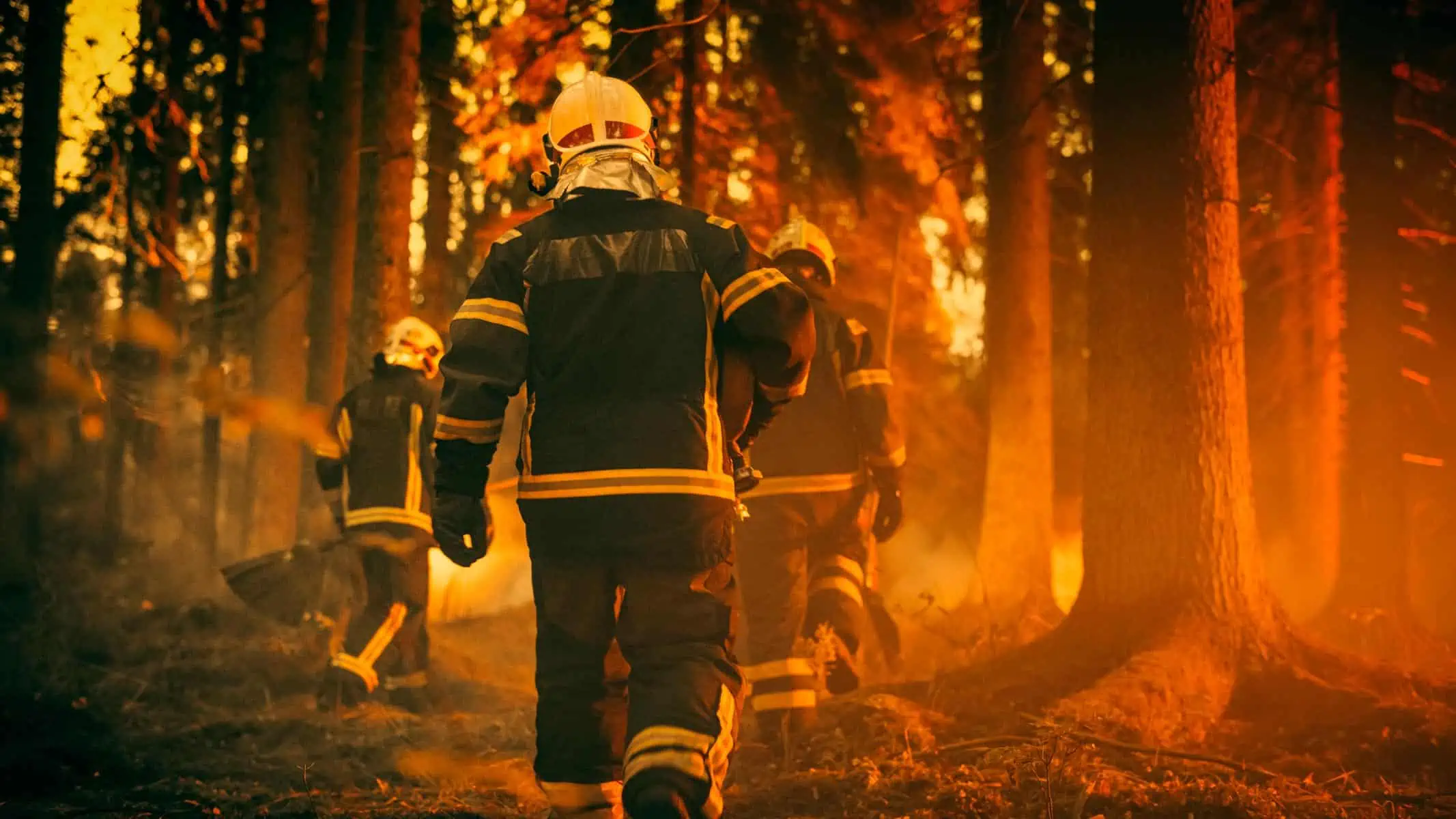 Advierten Posibles Consecuencias de Incendios Forestales en California