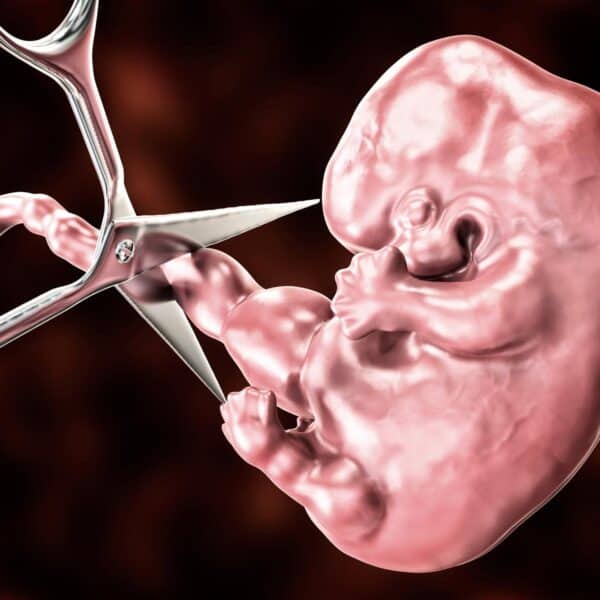 Detienen Temporalmente Ley Antiaborto en Carolina del Sur