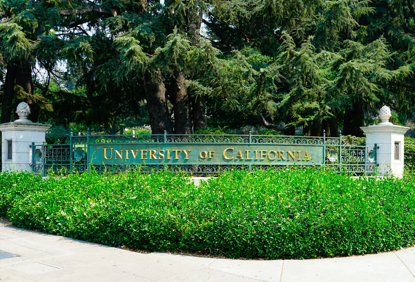 Junta de Regentes de Universidad de California Aboga para Contratacion de Migrantes