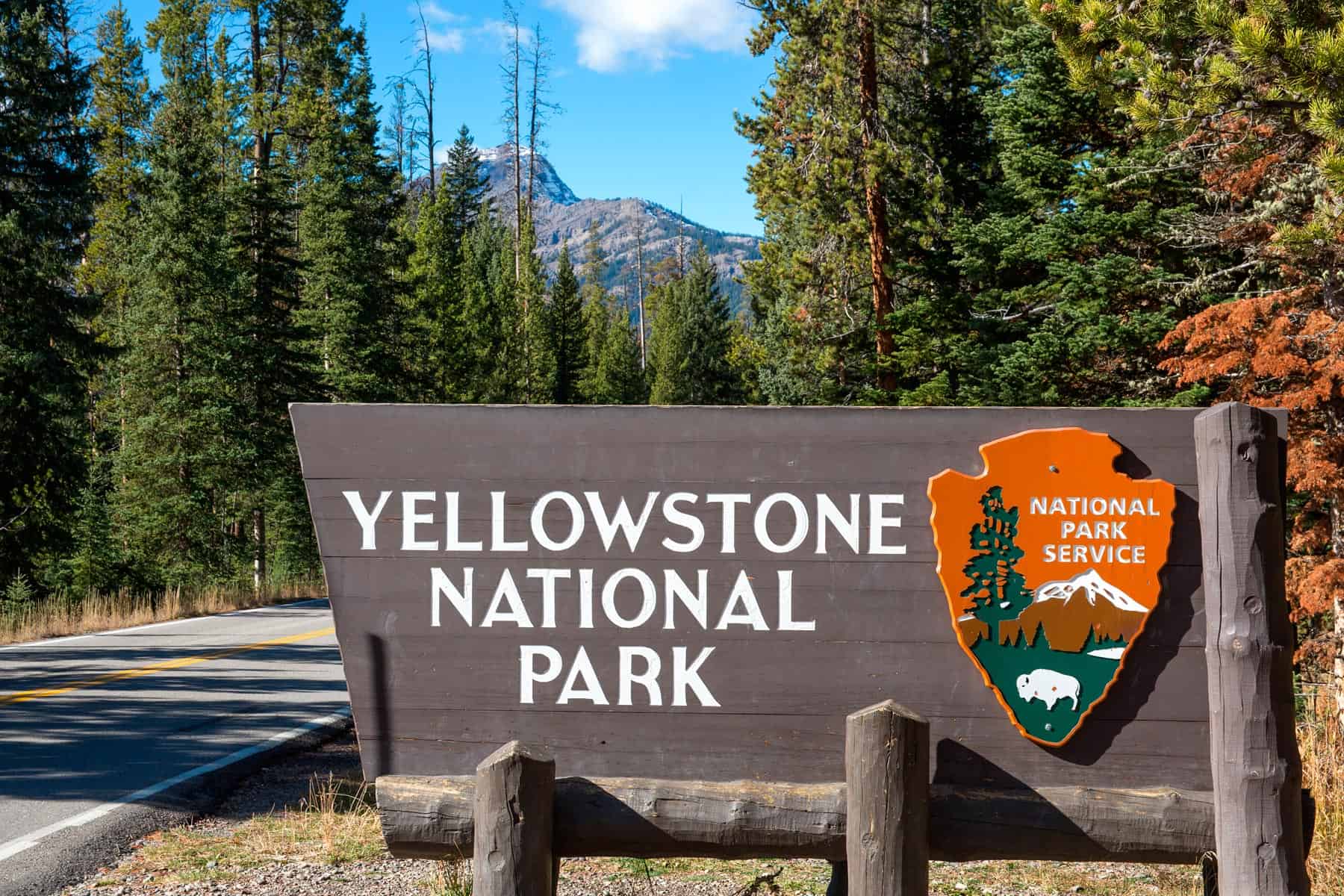 Parque Yellowstone Solicita a los Turistas Proteger la Vida Silvestre del Lugar