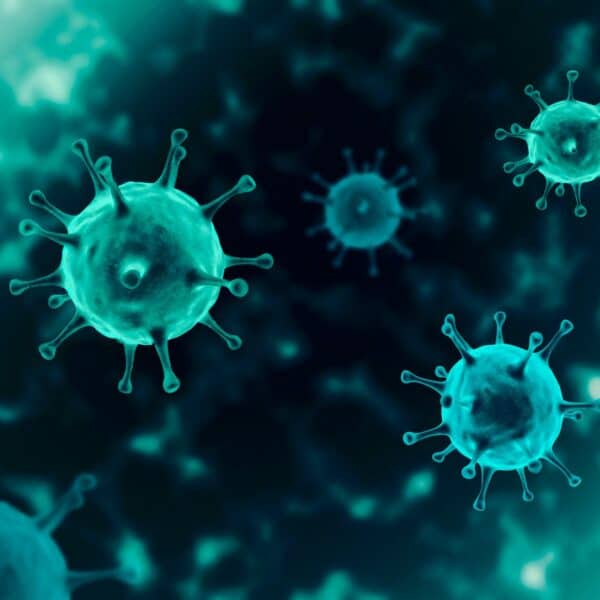 CDC Informan Cifras de Hospitalización por Covid 19 en Estados Unidos Julio 2023