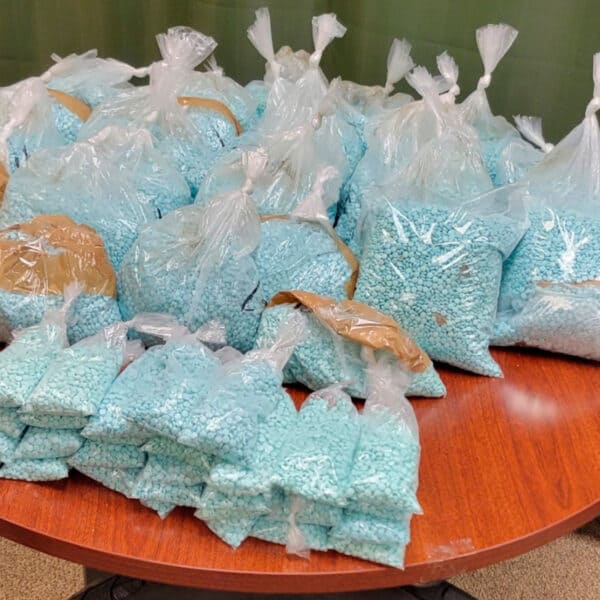 CBP Actualiza Operativos Recientes en Puertos de Entrada de Estados Unidos 25 de Agosto